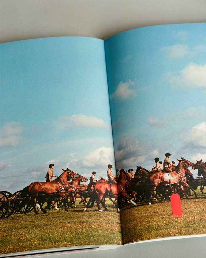 Ceremony thumbnail 7