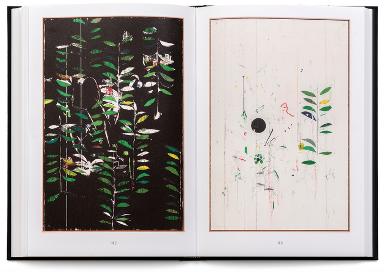 Harold Ancart: Soft Places (I) thumbnail 4