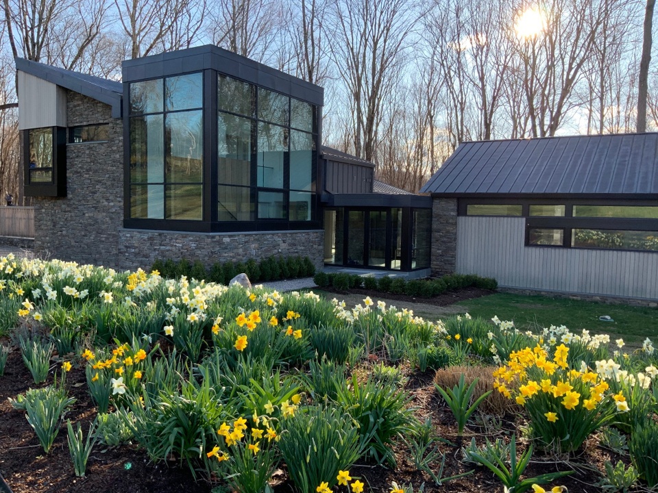 Exterior view of a contemporary home with blooming daffodils in the foreground and trees in the background.