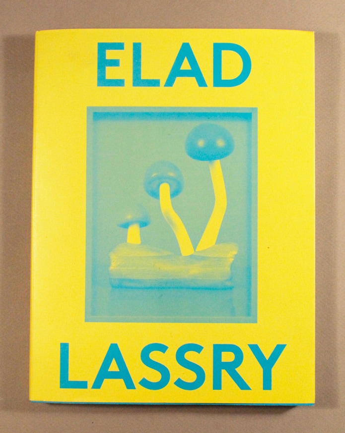 2000 Words : Elad Lassry thumbnail 2