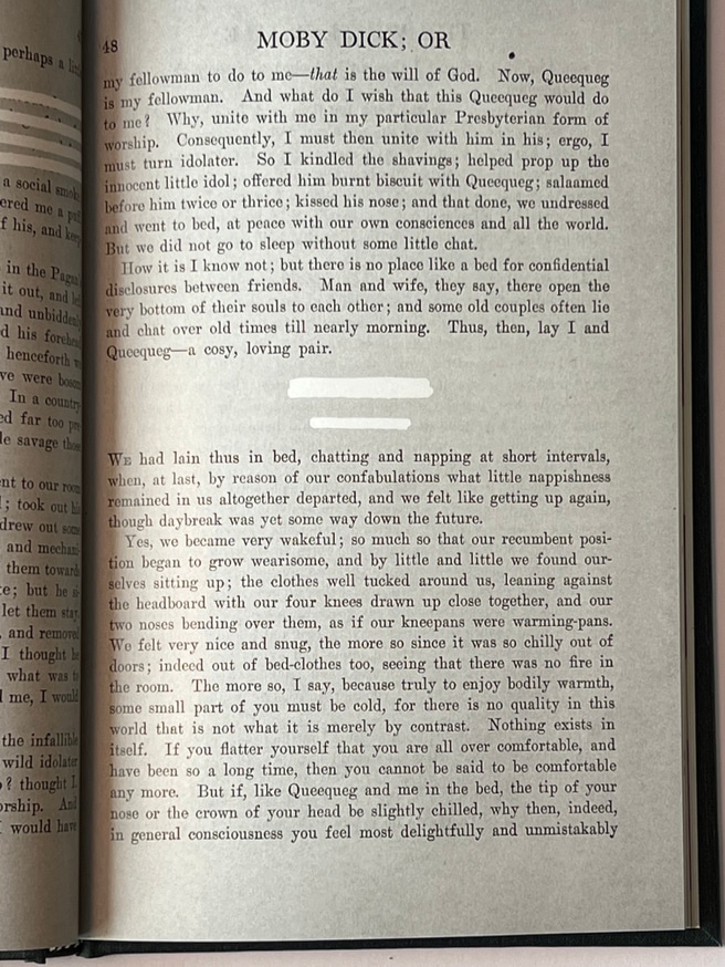 moby dick variations thumbnail 8