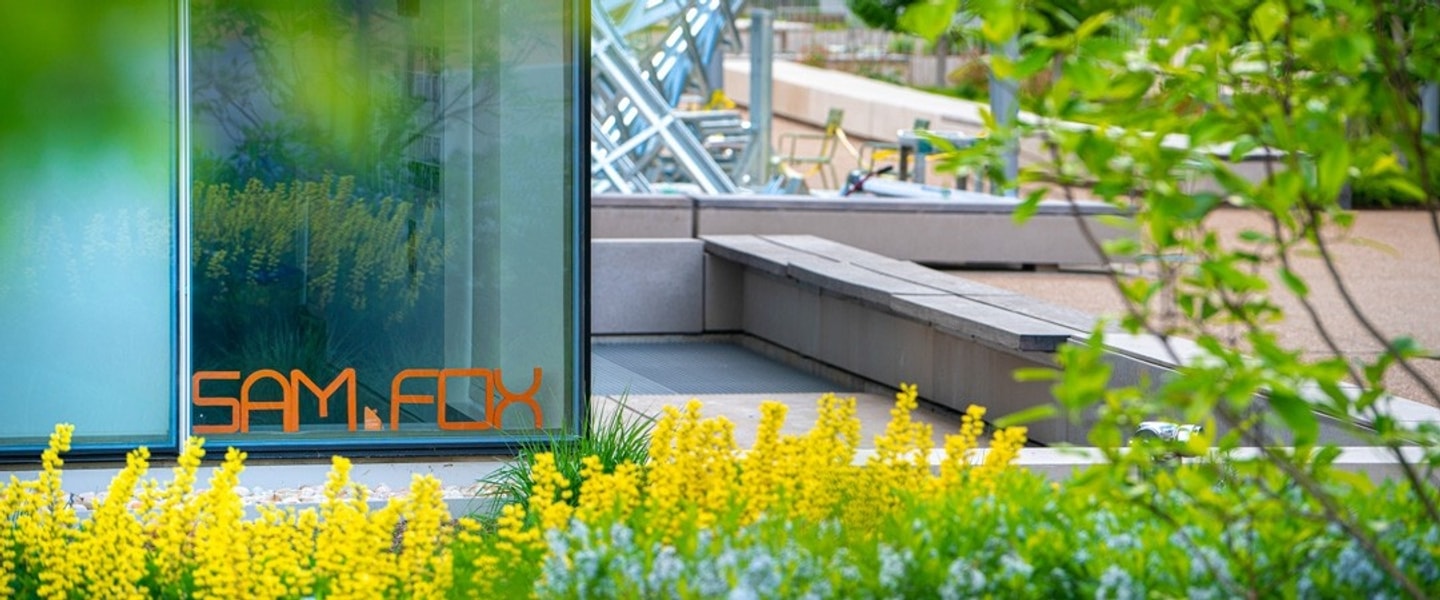 window of Weil Hall with orange cut out letters that say Sam Fox