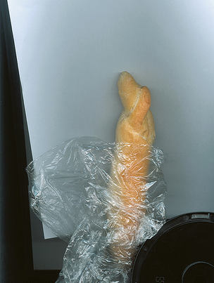 The Suicide of the Image