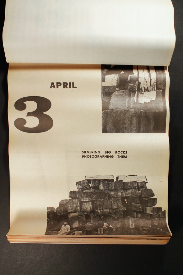 Herd Instinct 360° [DVD] thumbnail 10