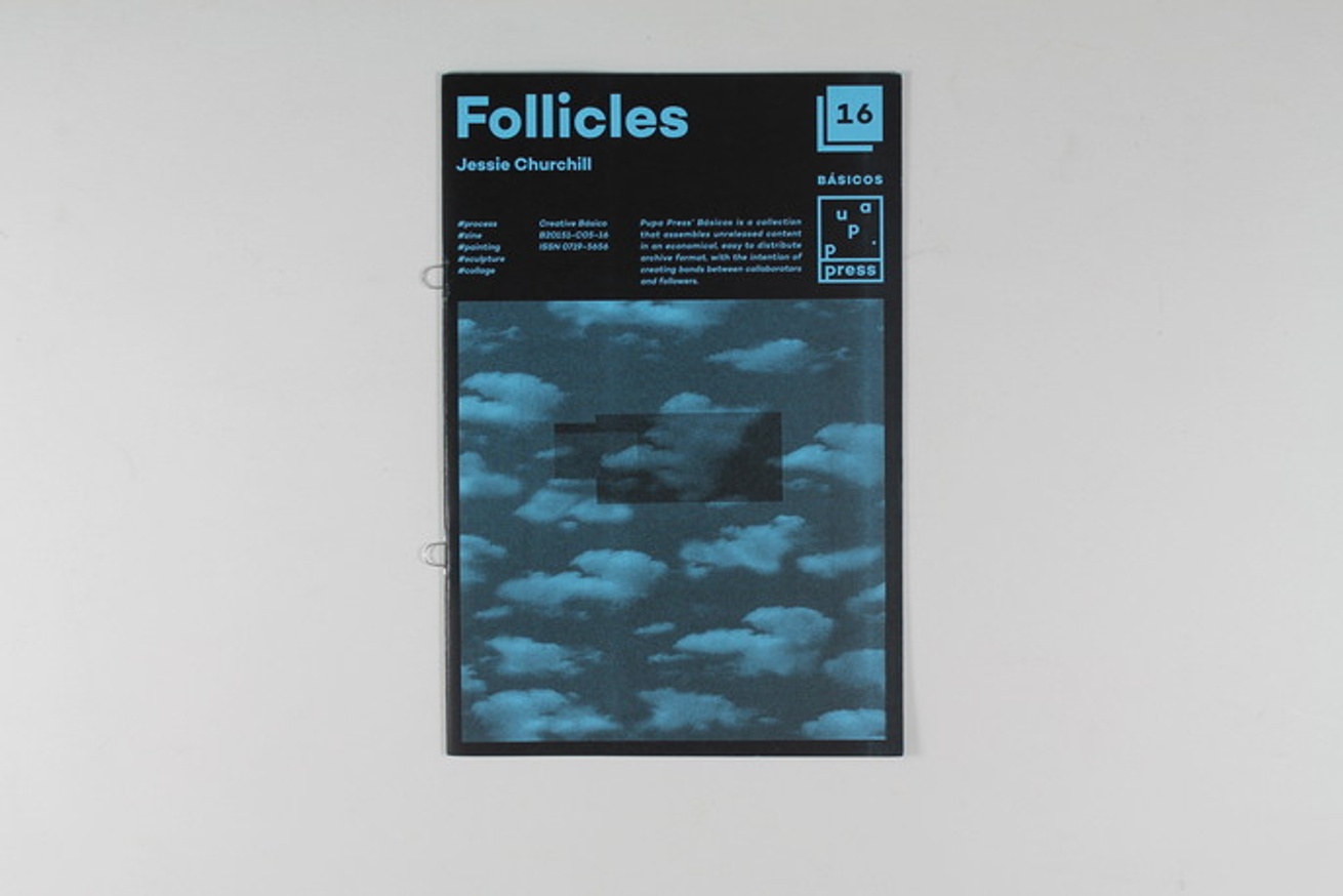 Follicles thumbnail 2