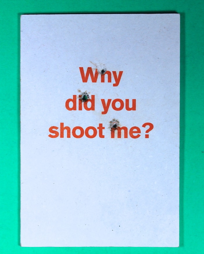 Why Did You Shoot Me?