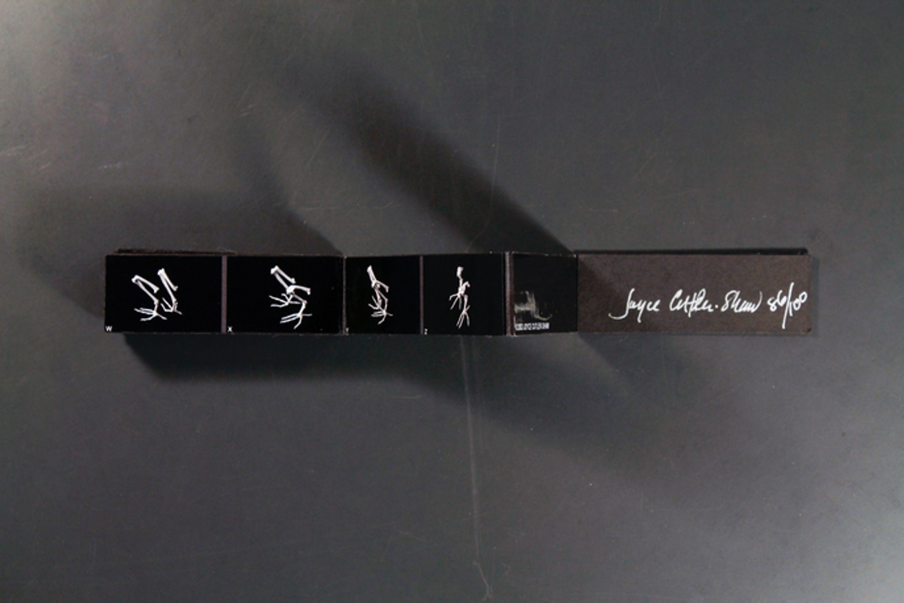 Miniature Alphabet of Bones thumbnail 2