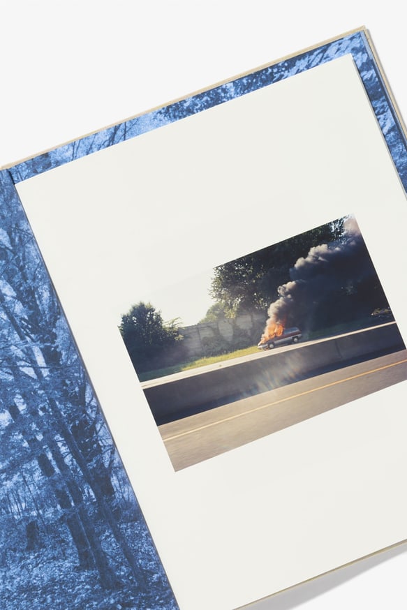 Ecstatic Nature thumbnail 3