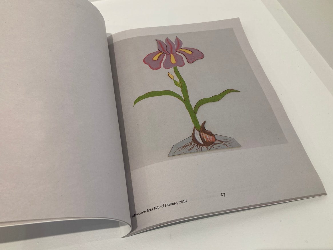 The Dye Garden thumbnail 3