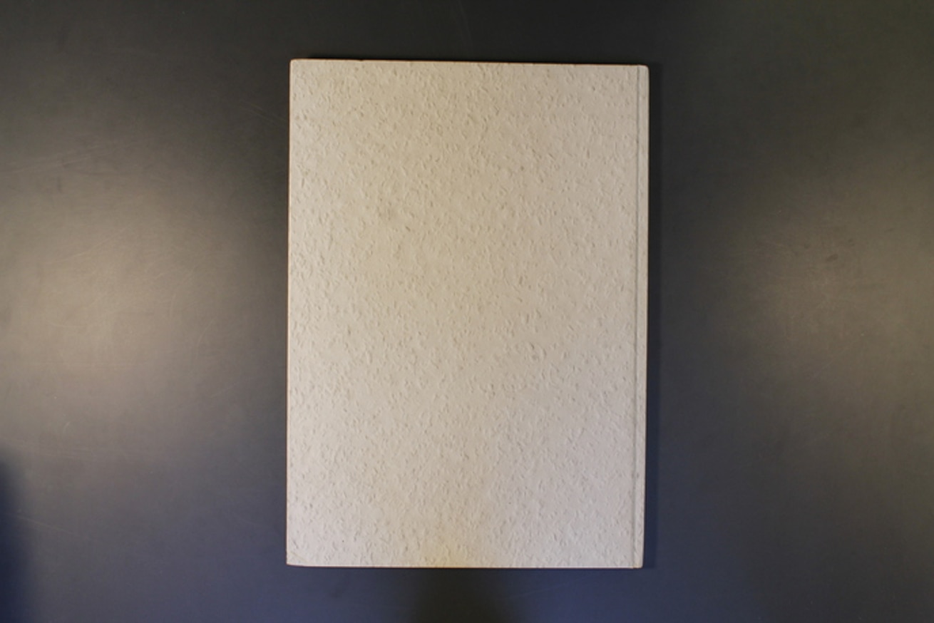 Karin Sander thumbnail 4