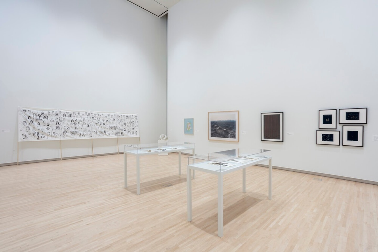 Image of a museum gallery. Two cases in the center of the room hold botanical specimens. A large printed banner is visible on the left wall, and framed artwork on the right. 