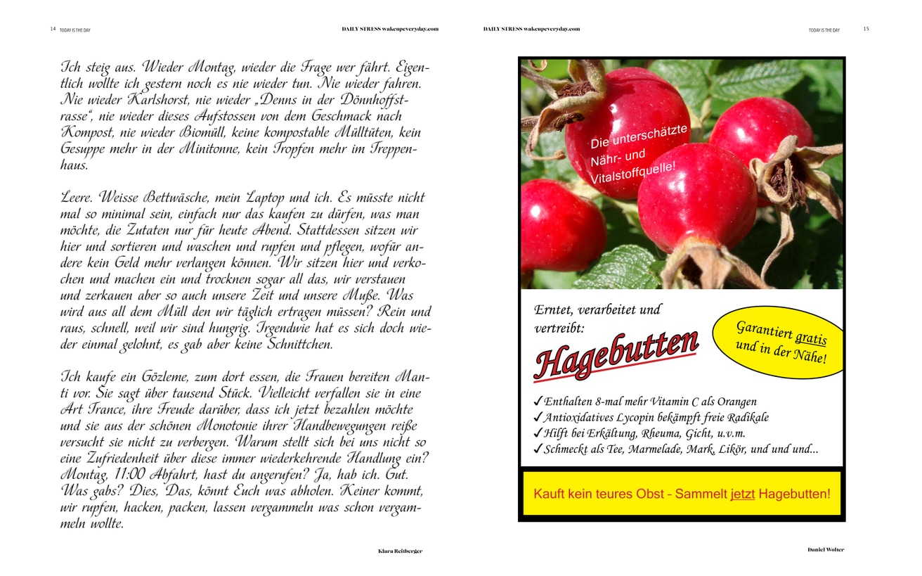 The Daily Stress thumbnail 2