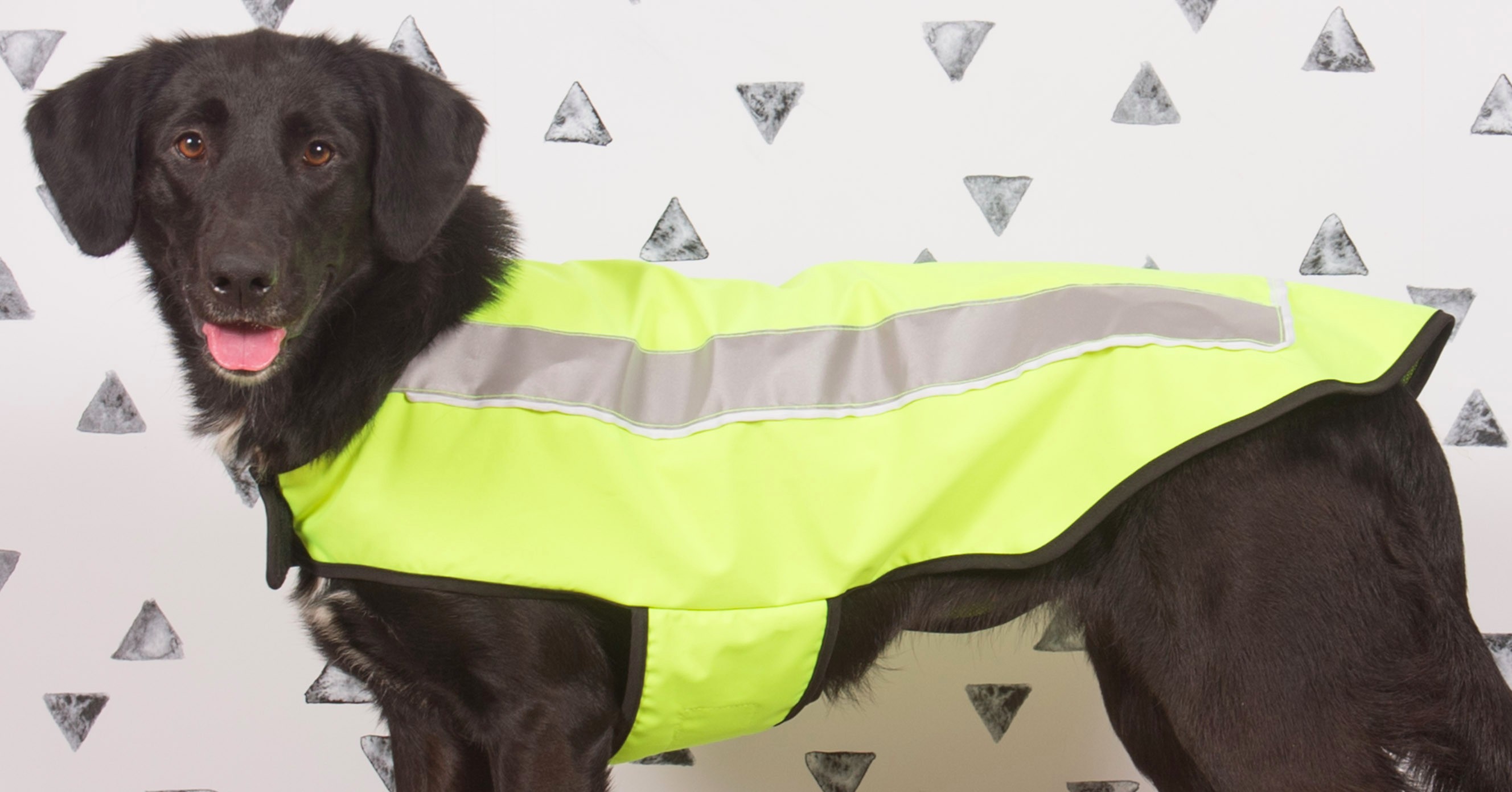 SpotLite Led Lighted Jacket Dogly
