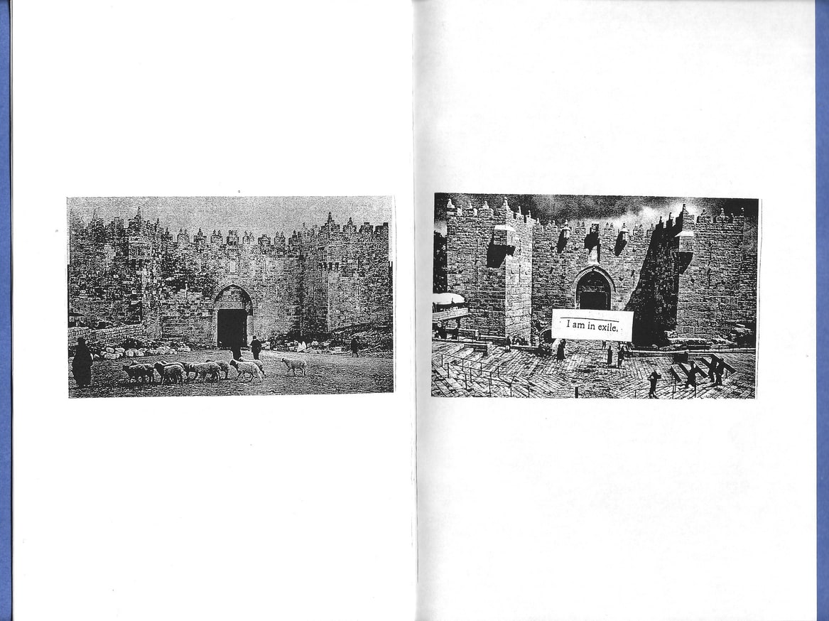 The Odyssey: Homer: Book 13: Two Tricksters thumbnail 4