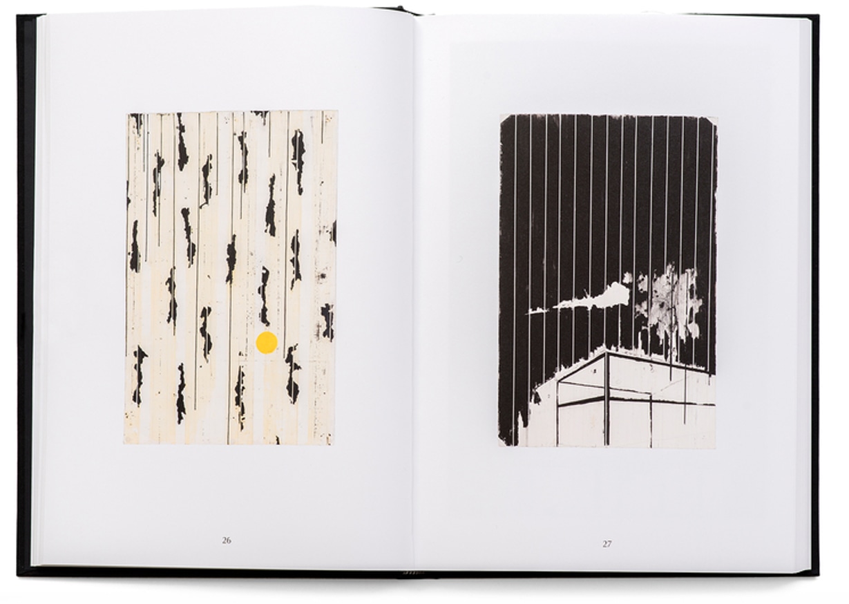 Harold Ancart: Soft Places (I) thumbnail 6