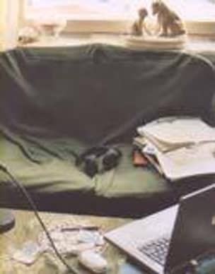 Interviews, Diaries and Reports