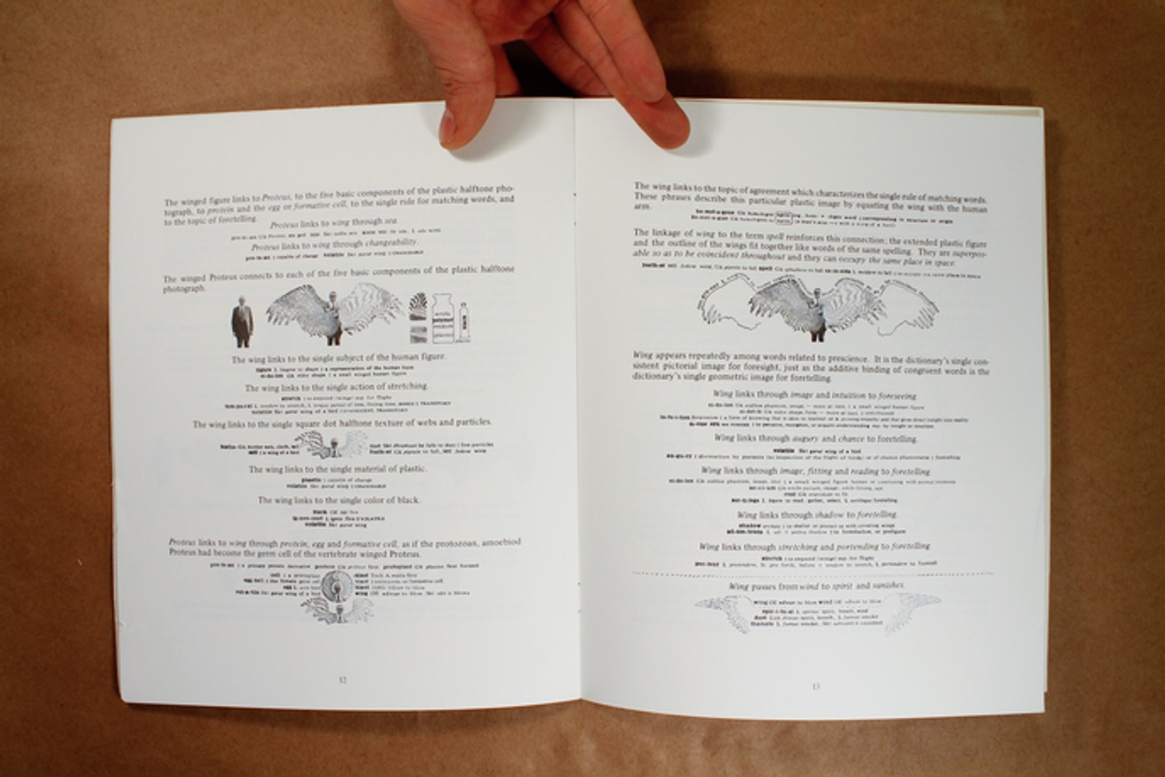 The Anatomy of Proteus