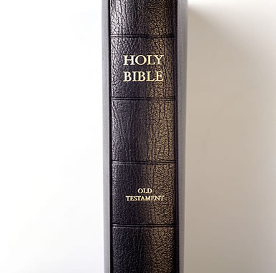 The Holy Bible : Old Testament thumbnail 4