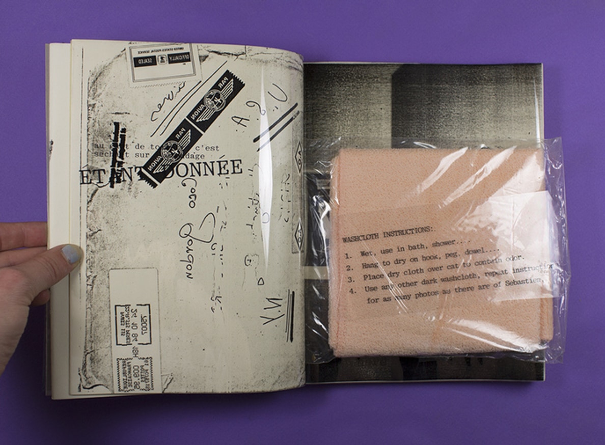 Sebastien Live Cat Chat Vive thumbnail 2