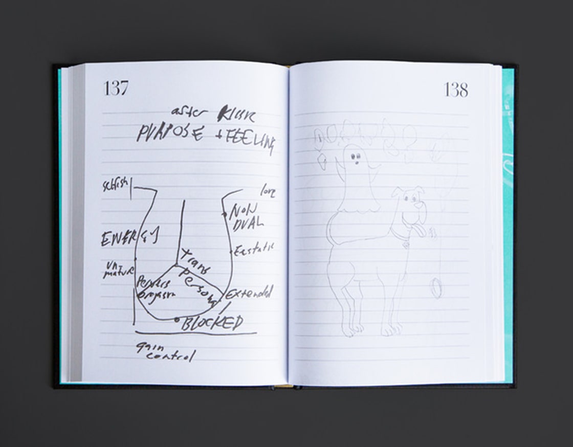 The Downward Spiral thumbnail 6