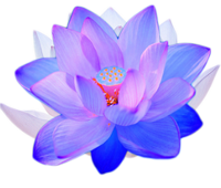 Rnthuoa5saye4xpk1c0t?signature=389f71d96c67d7d899609d0def7b3194bc5c339fe7b55f226aafd8f59ed5f5c4&policy=eyjjywxsijoicmvhzcisimv4cglyesi6ndyzmzm2mtq2oh0%3d