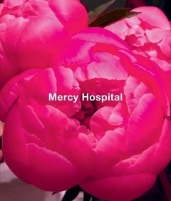 Ida Applebroog : Mercy Hospital thumbnail 1