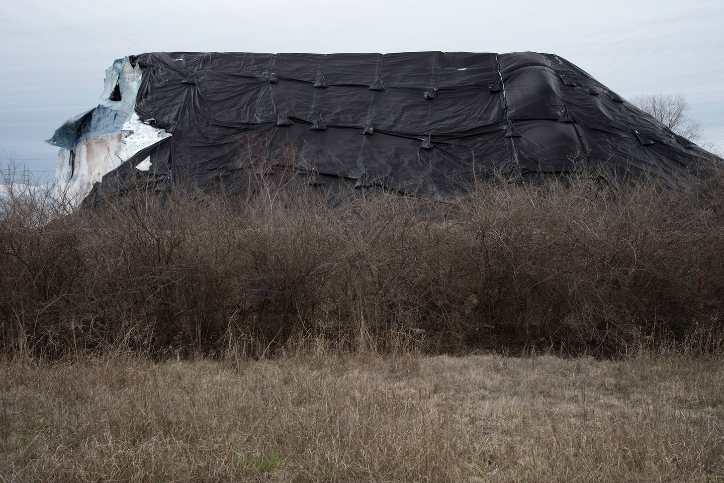 A large structure wrapped in black material, behind bushes of yellowed grass. The background is a light blue-white sky.