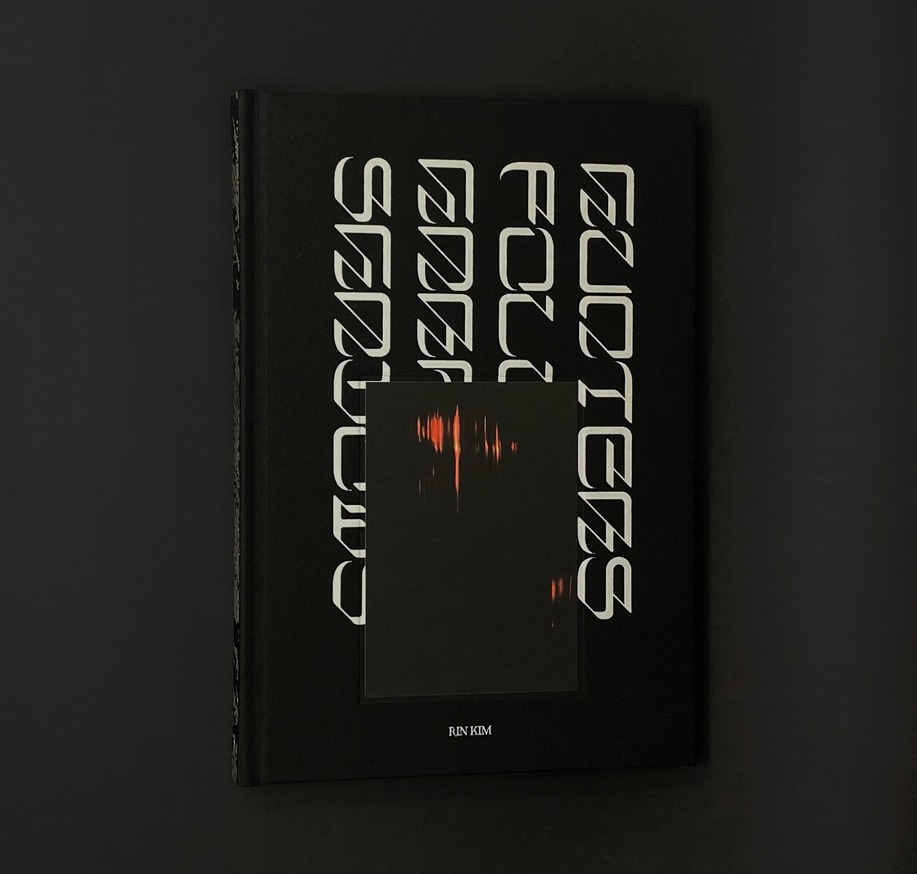 Hunters Follow Harpy Shadows thumbnail 8