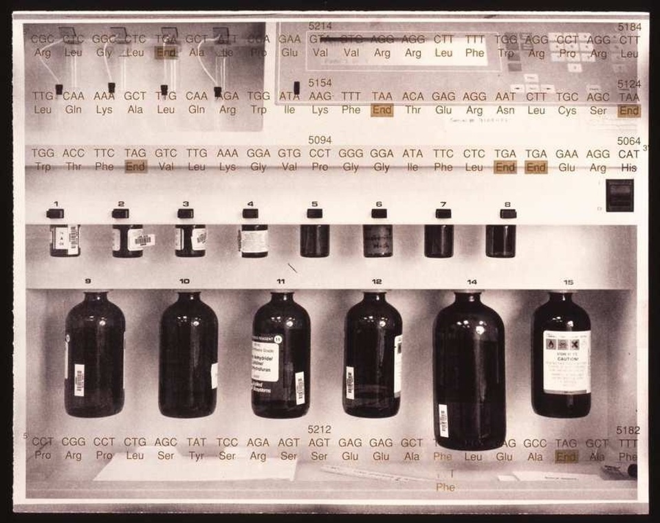 Catherine Wagner_Biogenetics Lab Suite re_Search DNA-RNA synthesizer with DNA.jpg