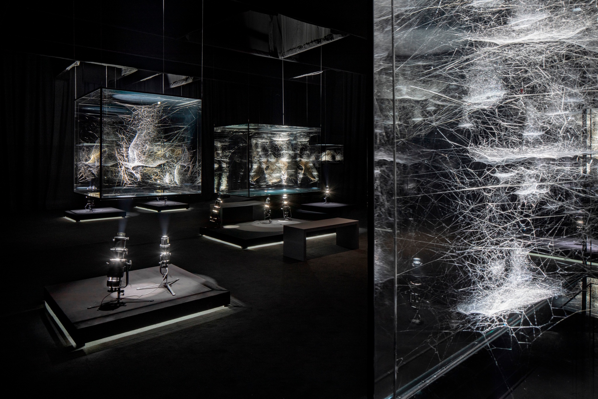 Three complex spiderwebs are dramatically lit in cubic glass containers that resemble aquariums