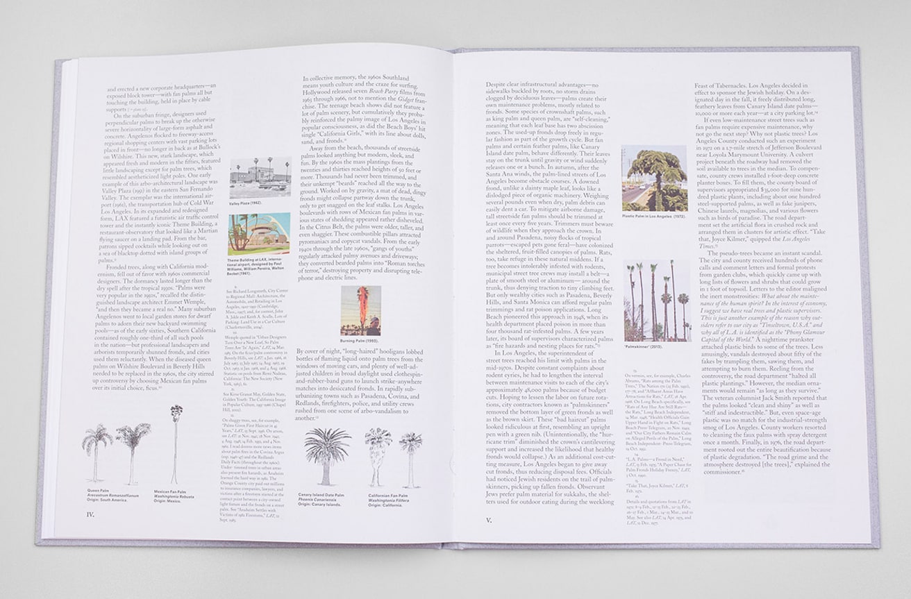 Los Angeles Palms thumbnail 7