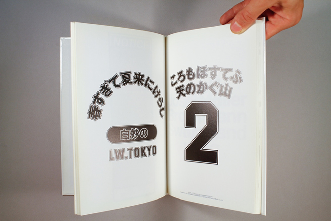 Monopole thumbnail 4