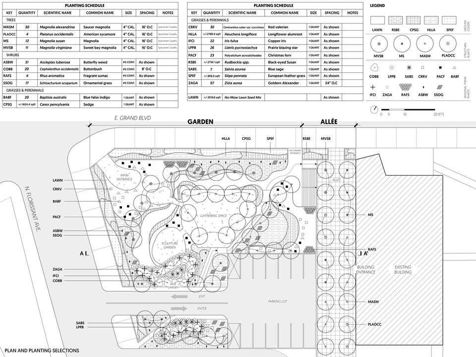 Diagram showing the planting plan and schedule. 