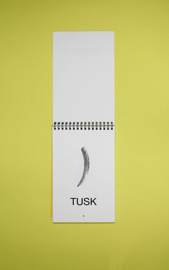 TUSK CLIP BANANA thumbnail 4