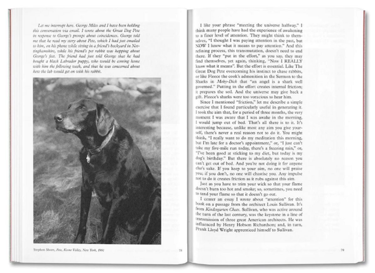 Modern Instances: The Craft of Photography [First Edition] thumbnail 4