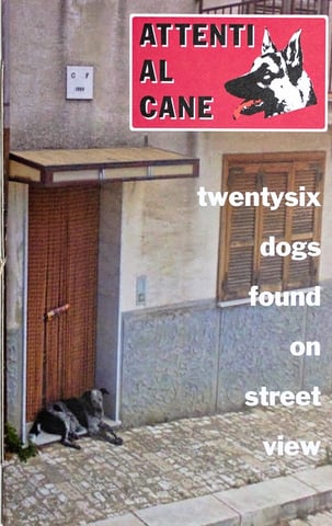 Attenti al Cane: Twentysix Dogs Found on Street View