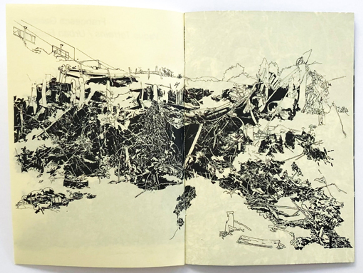 Vague Terrains / Urban Fuckups thumbnail 2