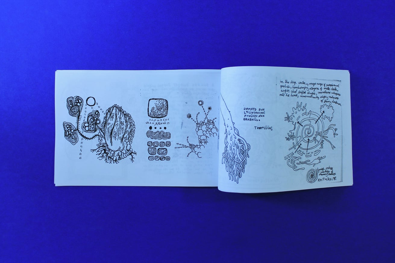 The Morphology of XOS thumbnail 3