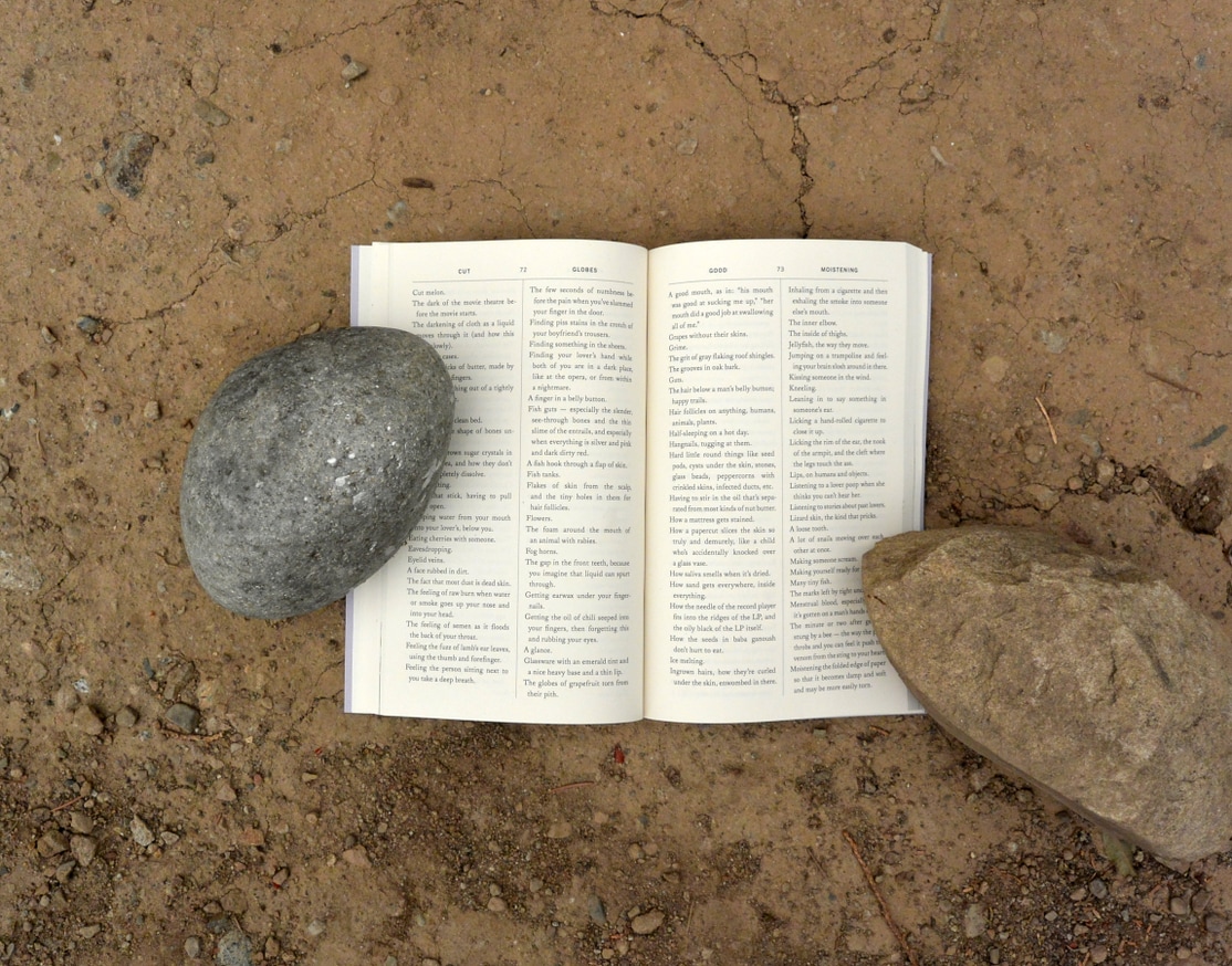 Minerva the Miscarriage of the Brain thumbnail 3