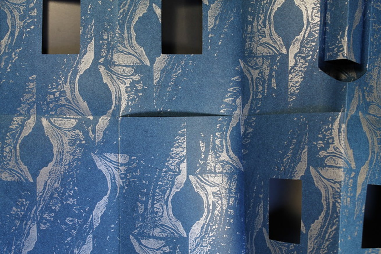 Brains & Spines thumbnail 4