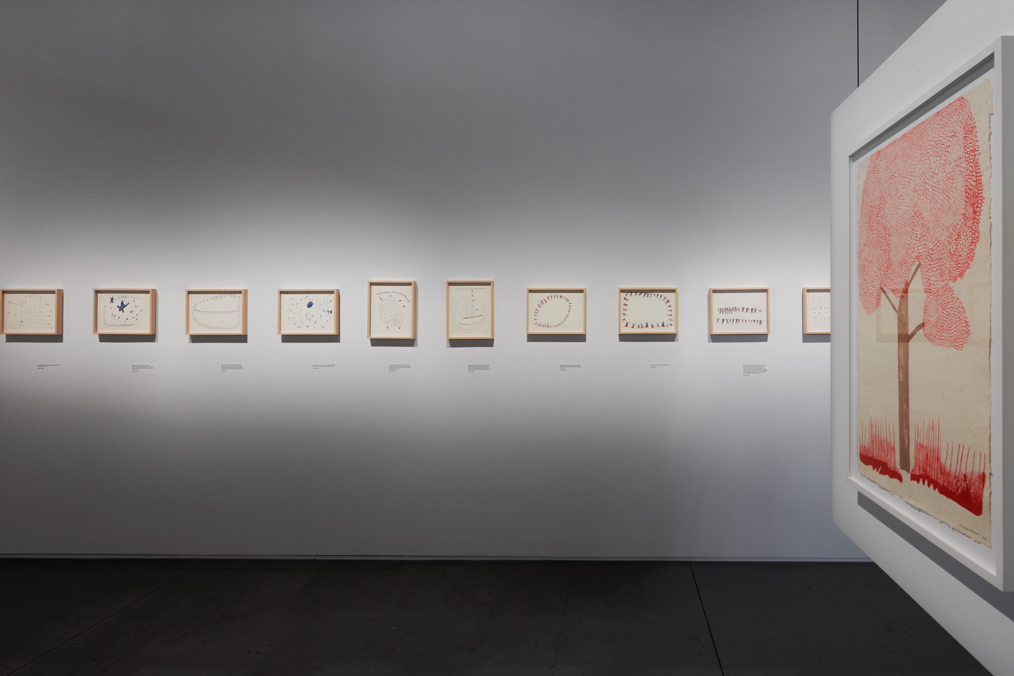 An art gallery wall with a line of ten framed drawings in a row. To the right, a suspended walls holds a larger drawing of a tree with a red canopy.