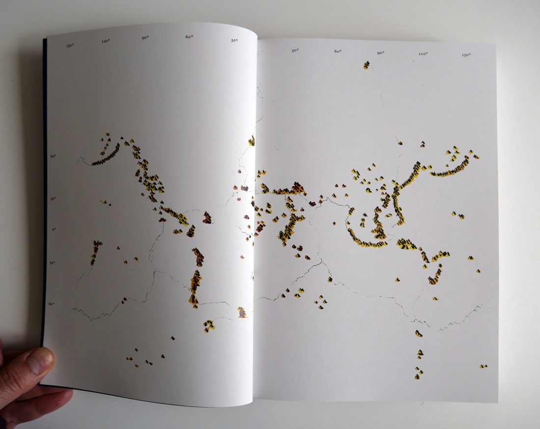 NOTES TOWARDS A VOLCANIC IMPULSE / NOTAS PARA UM IMPULSO VULCÂNICO thumbnail 5