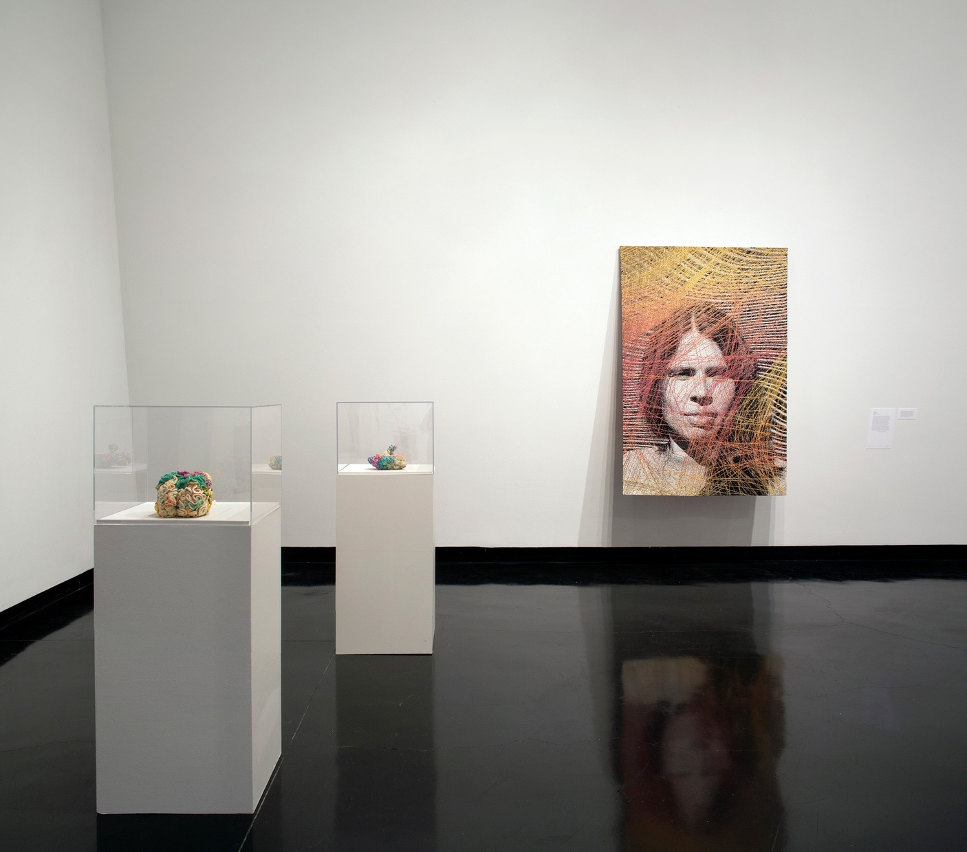 A view of artwork in a gallery with crochet brains in cases and a painting in the background.