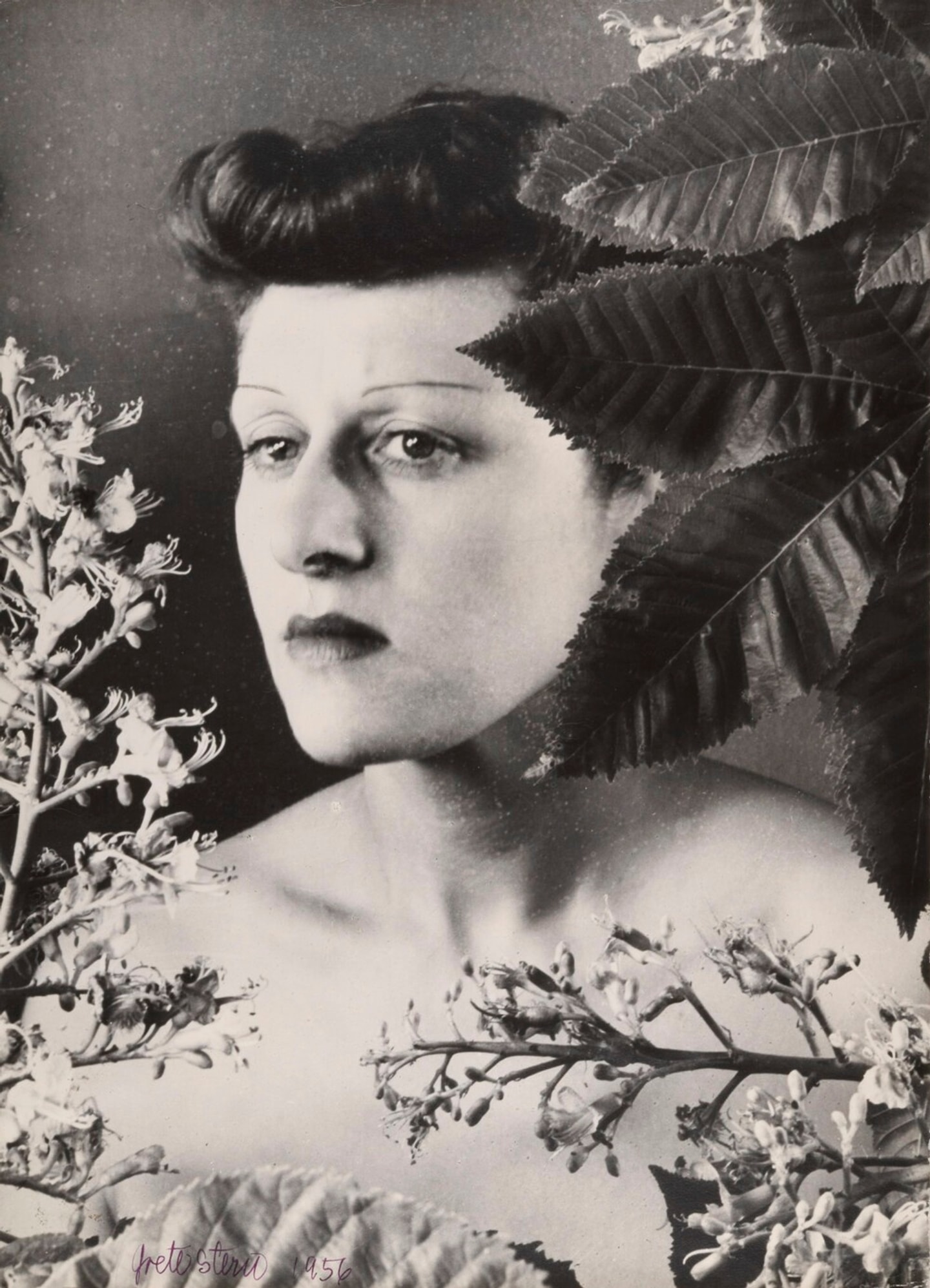 portrait of Grete Stern