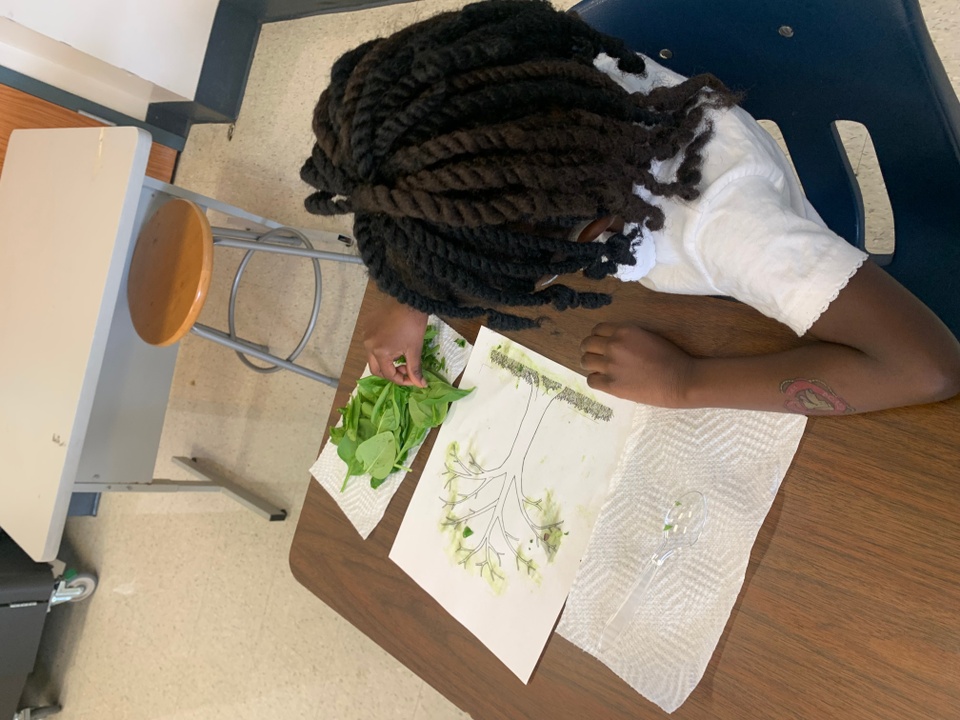 A young person sits at a desk and writes on a paper with a stack of green plant leaves next to them. 