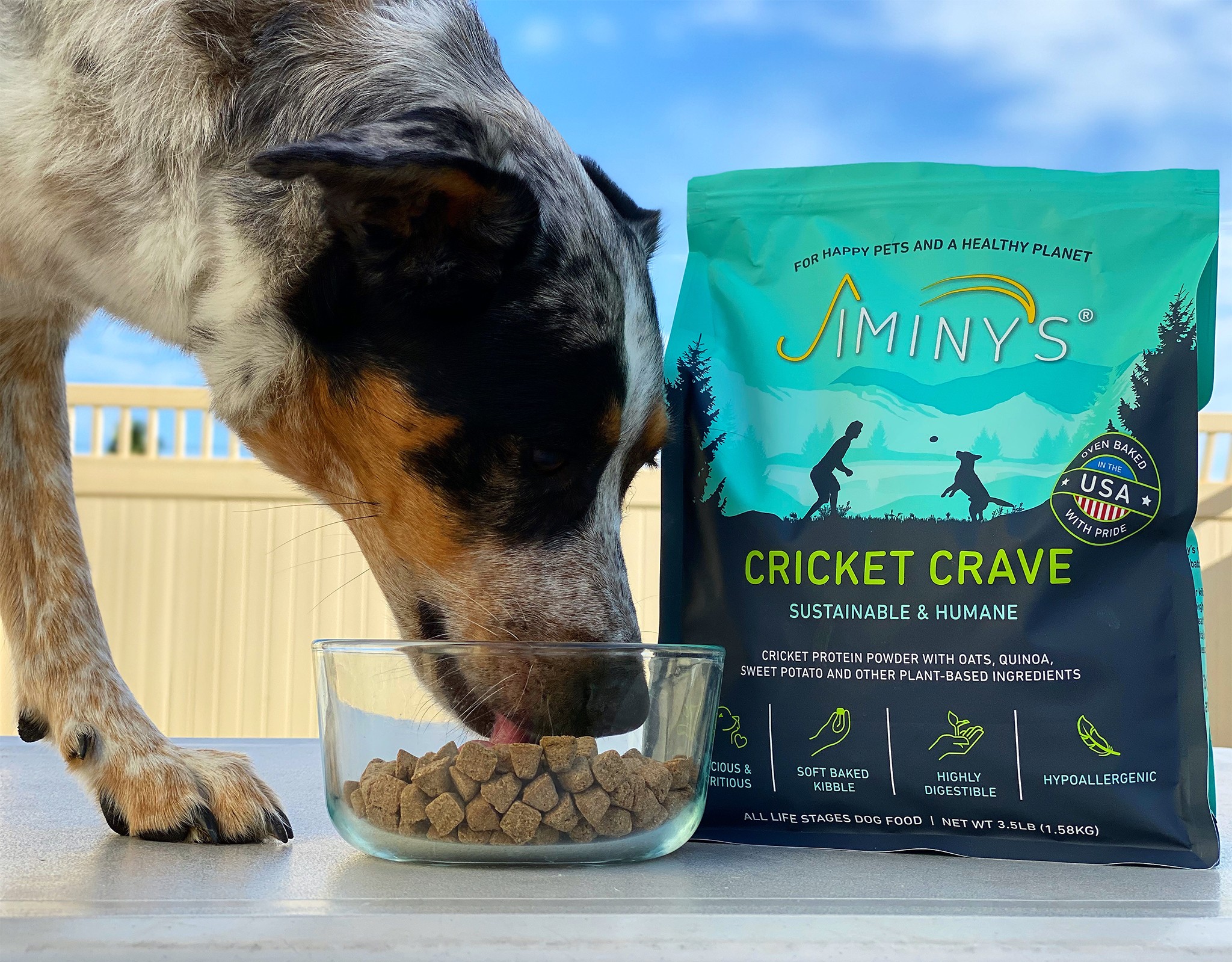 Cricket Crave Dog Food | Dogly