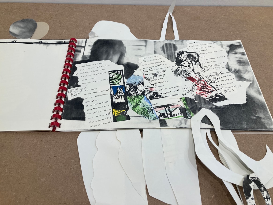 Cut Book (The Opaque Glass : A Poem by Barbara A. Roux in Collaboration with Coco Gordon) thumbnail 2