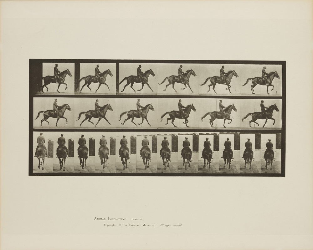 A series of clips of a side and back angle view of a person riding a horse.