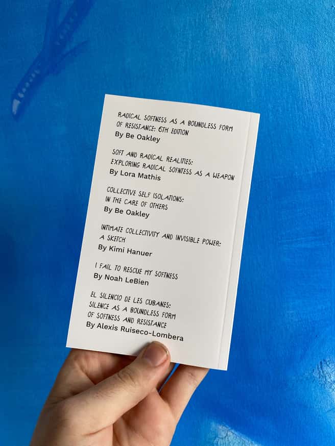 Radical Softness As a Boundless Form of Resistance [Sixth Edition] thumbnail 5