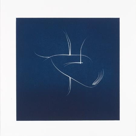 Image of abstract white line drawing on dark blue printed background